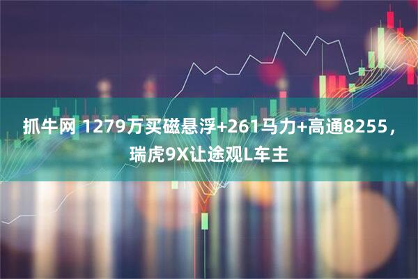 抓牛网 1279万买磁悬浮+261马力+高通8255，瑞虎9X让途观L车主