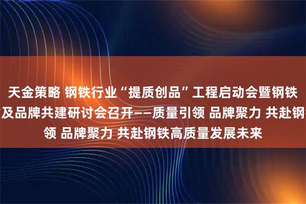 天金策略 钢铁行业“提质创品”工程启动会暨钢铁行业质量监管宣贯及品牌共建研讨会召开——质量引领 品牌聚力 共赴钢铁高质量发展未来
