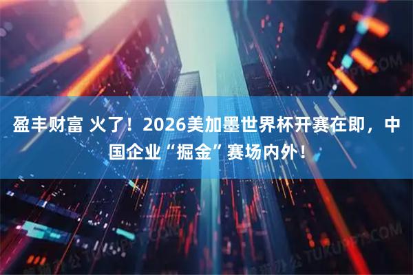 盈丰财富 火了！2026美加墨世界杯开赛在即，中国企业“掘金”赛场内外！
