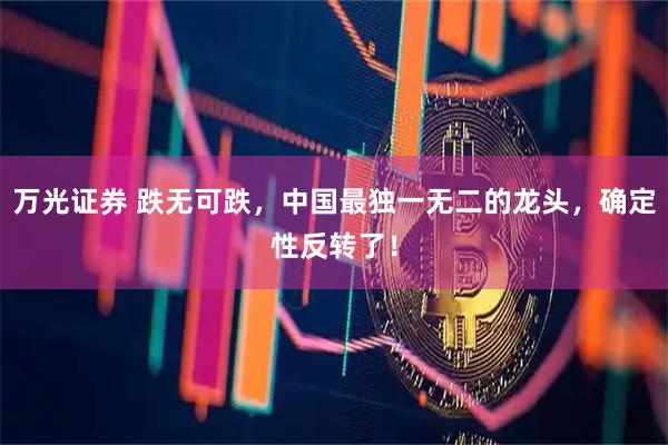 万光证券 跌无可跌，中国最独一无二的龙头，确定性反转了！